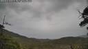 ./images/calvert/fitz-hugh-hecate/20250523/fitz-hugh-hecate20250523_145509M.jpg