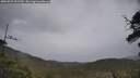 ./images/calvert/fitz-hugh-hecate/20250523/fitz-hugh-hecate20250523_151510M.jpg