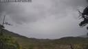 ./images/calvert/fitz-hugh-hecate/20250523/fitz-hugh-hecate20250523_152510M.jpg