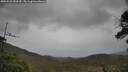 ./images/calvert/fitz-hugh-hecate/20250523/fitz-hugh-hecate20250523_153509M.jpg