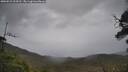 ./images/calvert/fitz-hugh-hecate/20250523/fitz-hugh-hecate20250523_154510M.jpg