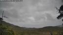 ./images/calvert/fitz-hugh-hecate/20250523/fitz-hugh-hecate20250523_161009M.jpg