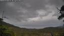./images/calvert/fitz-hugh-hecate/20250523/fitz-hugh-hecate20250523_182508M.jpg
