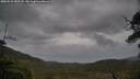 ./images/calvert/fitz-hugh-hecate/20250523/fitz-hugh-hecate20250523_183508M.jpg