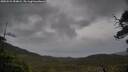 ./images/calvert/fitz-hugh-hecate/20250523/fitz-hugh-hecate20250523_184008M.jpg