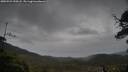 ./images/calvert/fitz-hugh-hecate/20250523/fitz-hugh-hecate20250523_190508M.jpg