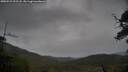 ./images/calvert/fitz-hugh-hecate/20250523/fitz-hugh-hecate20250523_192508M.jpg