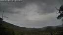 ./images/calvert/fitz-hugh-hecate/20250523/fitz-hugh-hecate20250523_193009M.jpg