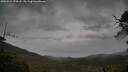 ./images/calvert/fitz-hugh-hecate/20250523/fitz-hugh-hecate20250523_194508M.jpg