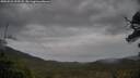 ./images/calvert/fitz-hugh-hecate/20250523/fitz-hugh-hecate20250523_195508M.jpg