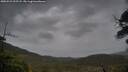 ./images/calvert/fitz-hugh-hecate/20250523/fitz-hugh-hecate20250523_202508M.jpg