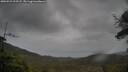 ./images/calvert/fitz-hugh-hecate/20250523/fitz-hugh-hecate20250523_203508M.jpg