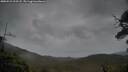./images/calvert/fitz-hugh-hecate/20250523/fitz-hugh-hecate20250523_205508M.jpg