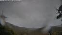 ./images/calvert/fitz-hugh-hecate/20250523/fitz-hugh-hecate20250523_211508M.jpg