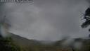 ./images/calvert/fitz-hugh-hecate/20250523/fitz-hugh-hecate20250523_212009M.jpg