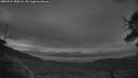./images/calvert/fitz-hugh-hecate/20250524/fitz-hugh-hecate20250524_050508M.jpg