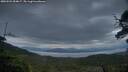./images/calvert/fitz-hugh-hecate/20250524/fitz-hugh-hecate20250524_054007M.jpg
