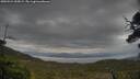 ./images/calvert/fitz-hugh-hecate/20250524/fitz-hugh-hecate20250524_055009M.jpg