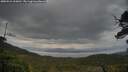./images/calvert/fitz-hugh-hecate/20250524/fitz-hugh-hecate20250524_060010M.jpg