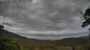 ./images/calvert/fitz-hugh-hecate/20250524/fitz-hugh-hecate20250524_060509M.jpg