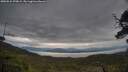 ./images/calvert/fitz-hugh-hecate/20250524/fitz-hugh-hecate20250524_070009M.jpg