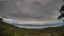 ./images/calvert/fitz-hugh-hecate/20250524/fitz-hugh-hecate20250524_071010M.jpg