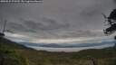 ./images/calvert/fitz-hugh-hecate/20250524/fitz-hugh-hecate20250524_072509M.jpg