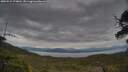 ./images/calvert/fitz-hugh-hecate/20250524/fitz-hugh-hecate20250524_074010M.jpg