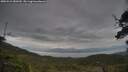 ./images/calvert/fitz-hugh-hecate/20250524/fitz-hugh-hecate20250524_080510M.jpg