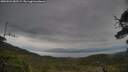 ./images/calvert/fitz-hugh-hecate/20250524/fitz-hugh-hecate20250524_082509M.jpg