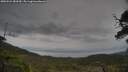 ./images/calvert/fitz-hugh-hecate/20250524/fitz-hugh-hecate20250524_083509M.jpg