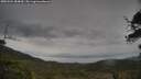 ./images/calvert/fitz-hugh-hecate/20250524/fitz-hugh-hecate20250524_084010M.jpg