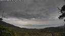 ./images/calvert/fitz-hugh-hecate/20250524/fitz-hugh-hecate20250524_085008M.jpg