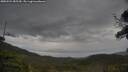 ./images/calvert/fitz-hugh-hecate/20250524/fitz-hugh-hecate20250524_085509M.jpg