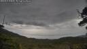 ./images/calvert/fitz-hugh-hecate/20250524/fitz-hugh-hecate20250524_090010M.jpg