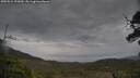 ./images/calvert/fitz-hugh-hecate/20250524/fitz-hugh-hecate20250524_092010M.jpg