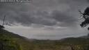 ./images/calvert/fitz-hugh-hecate/20250524/fitz-hugh-hecate20250524_092508M.jpg