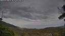 ./images/calvert/fitz-hugh-hecate/20250524/fitz-hugh-hecate20250524_093009M.jpg