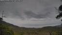 ./images/calvert/fitz-hugh-hecate/20250524/fitz-hugh-hecate20250524_093509M.jpg