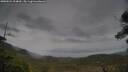 ./images/calvert/fitz-hugh-hecate/20250524/fitz-hugh-hecate20250524_094010M.jpg