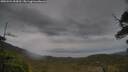 ./images/calvert/fitz-hugh-hecate/20250524/fitz-hugh-hecate20250524_094510M.jpg