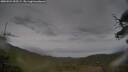 ./images/calvert/fitz-hugh-hecate/20250524/fitz-hugh-hecate20250524_095508M.jpg