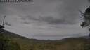 ./images/calvert/fitz-hugh-hecate/20250524/fitz-hugh-hecate20250524_100010M.jpg