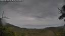 ./images/calvert/fitz-hugh-hecate/20250524/fitz-hugh-hecate20250524_100509M.jpg