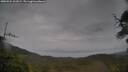 ./images/calvert/fitz-hugh-hecate/20250524/fitz-hugh-hecate20250524_101009M.jpg