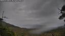 ./images/calvert/fitz-hugh-hecate/20250524/fitz-hugh-hecate20250524_102008M.jpg
