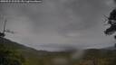 ./images/calvert/fitz-hugh-hecate/20250524/fitz-hugh-hecate20250524_102509M.jpg