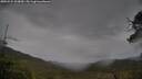 ./images/calvert/fitz-hugh-hecate/20250524/fitz-hugh-hecate20250524_103009M.jpg