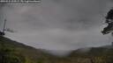 ./images/calvert/fitz-hugh-hecate/20250524/fitz-hugh-hecate20250524_103508M.jpg