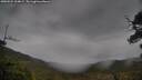 ./images/calvert/fitz-hugh-hecate/20250524/fitz-hugh-hecate20250524_104009M.jpg